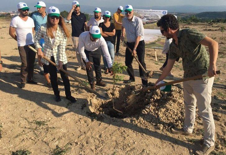 Bursa’da Bataklık Alanlara Meyve Fidanları Dikildi G2