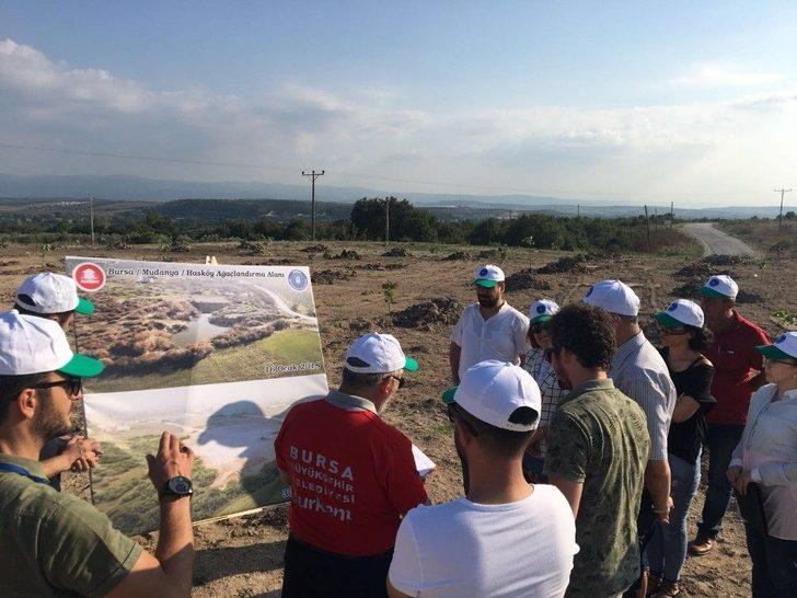 Bursa’da Bataklık Alanlara Meyve Fidanları Dikildi G3