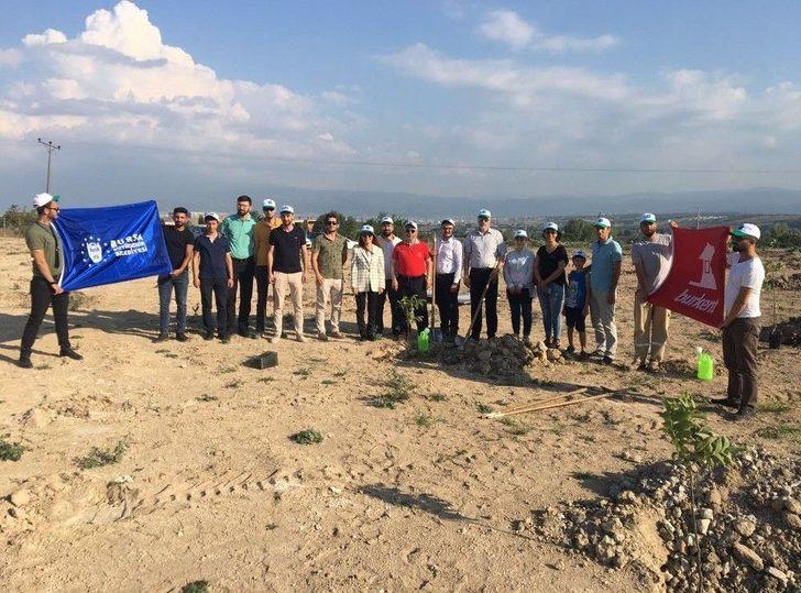 Bursa’da Bataklık Alanlara Meyve Fidanları Dikildi G5