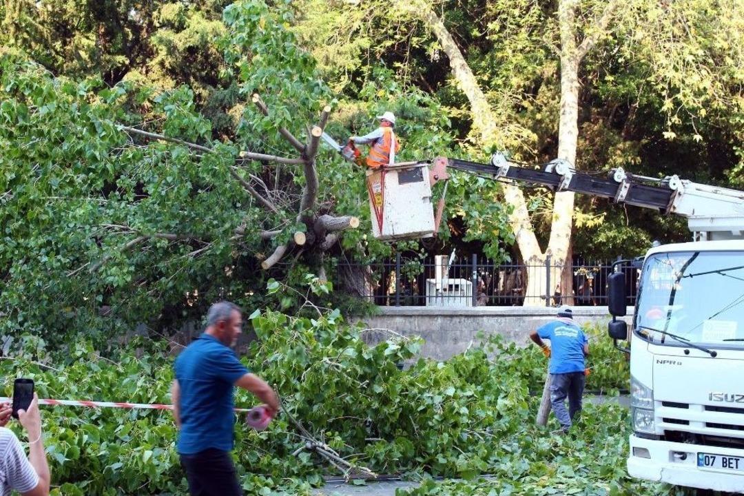 Simit&ccedil;inin Dikkati Faciayı &Ouml;nledi