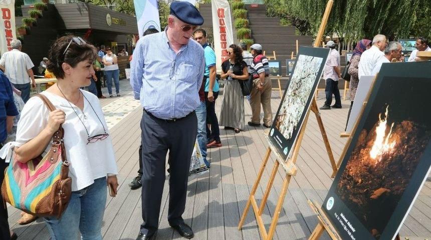 ’kadrajda Odunpazarı’ Fotoğraf Sergisi