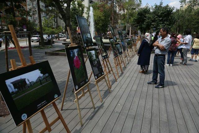 ’kadrajda Odunpazarı’ Fotoğraf Sergisi