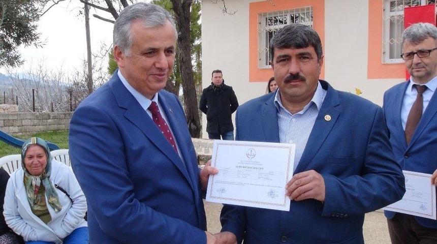 Zeytin Ağacı Budamayı &Ouml;ğrendiler