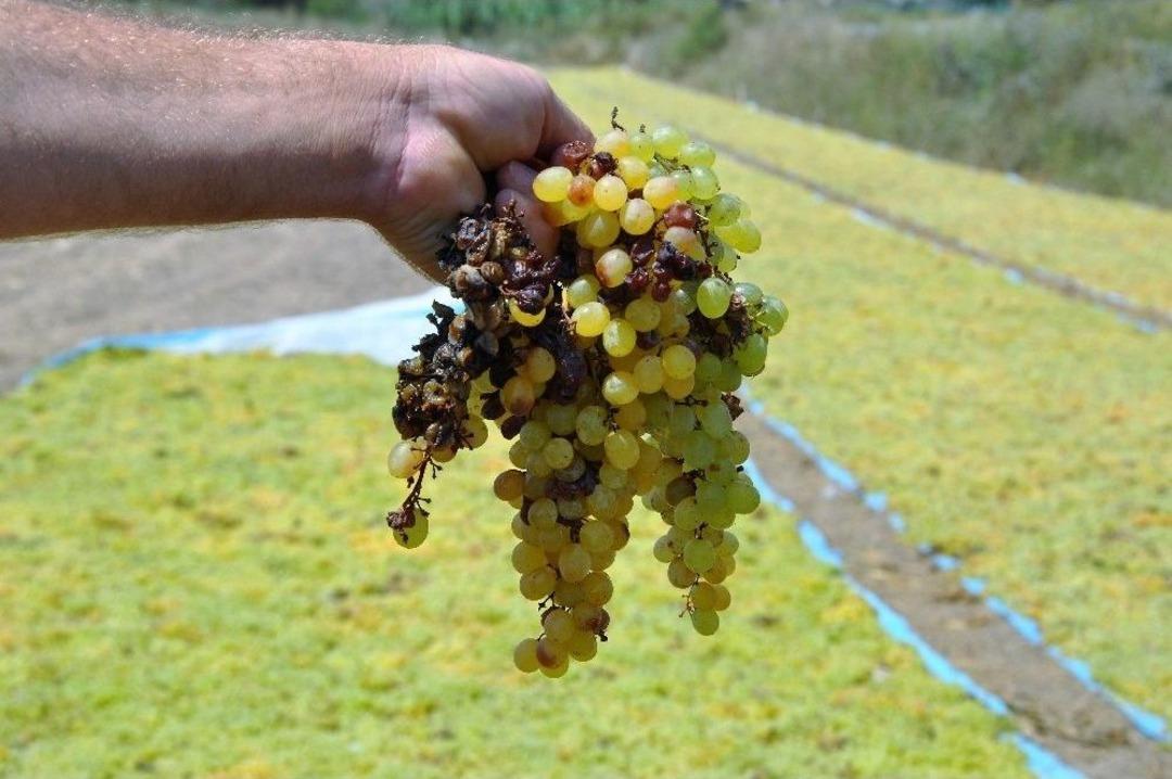 Manisa&rsquo;da Şiddetli Yağmur &Uuml;z&uuml;mleri Vurdu
