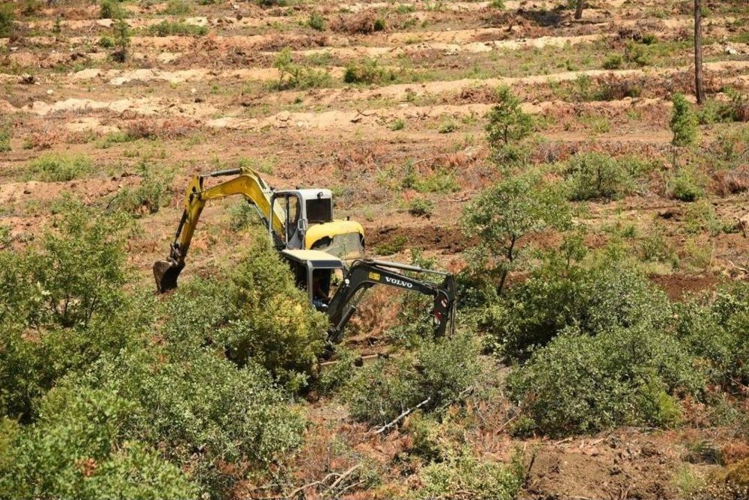 Sarıcakaya&rsquo;da Sonbahar Hazırlığı