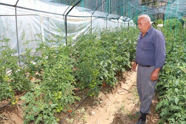 Sel Suları Sera Ve Ekili Alanlara Zarar Verdi