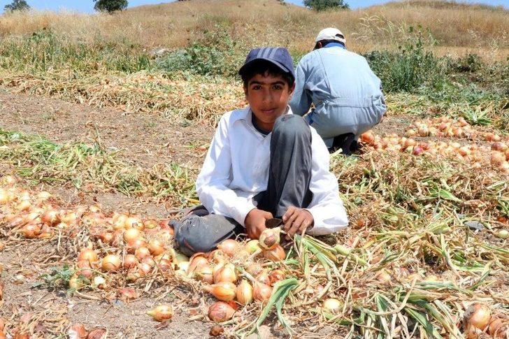 Ekmeklerini Topraktan Çıkartıyorlar G3