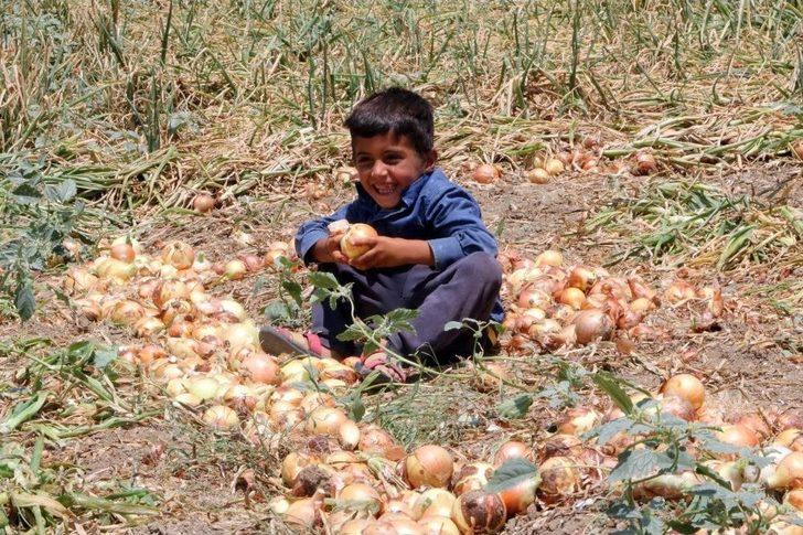 Ekmeklerini Topraktan Çıkartıyorlar G4