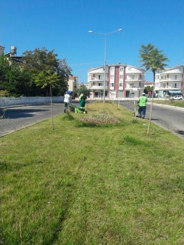 Didim’deki Yeşil Alanlarda Çalışmalar Devam Ediyor