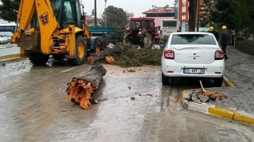 Denizli&rsquo;de Fırtına &Ccedil;am Ağacını Yıktı