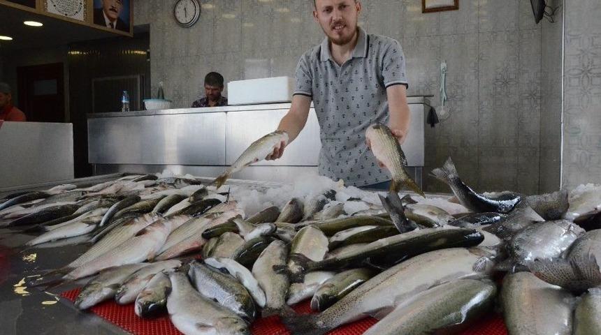 Balık&ccedil;ıların Umudu &lsquo;palamut&rsquo;