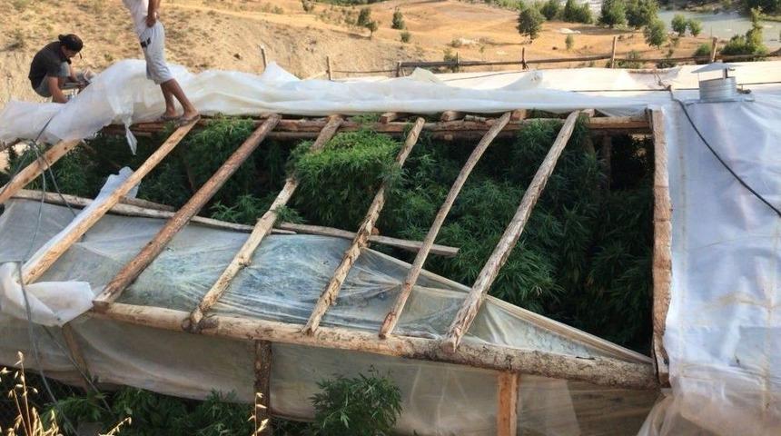 Alanya&rsquo;da Kenevir Serasına Baskın