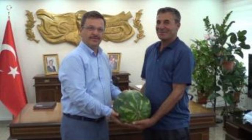 Vali &Uuml;nl&uuml;&rsquo;ye Doğal Karpuz Hediye Etti