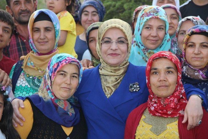 Tarladan Çim Kızağına G3