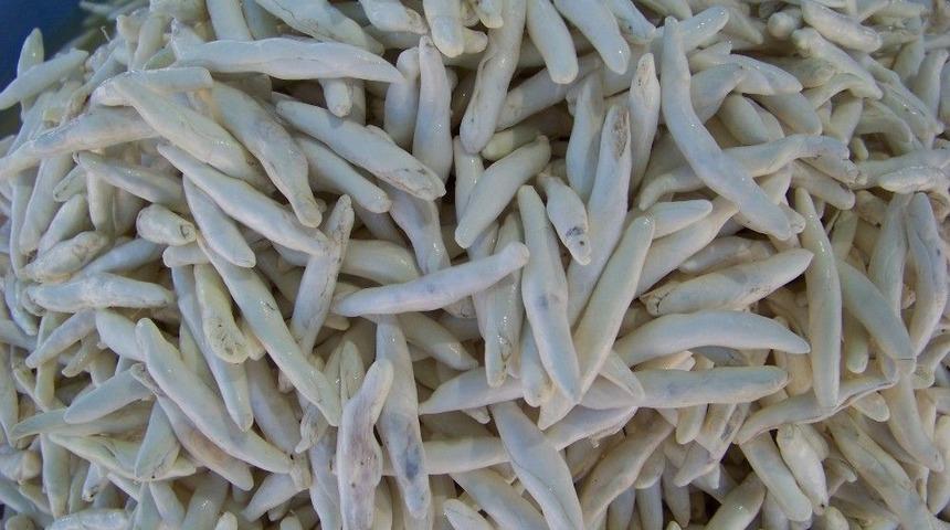 Darende’den ‘kenger Sakızı Tescillensin’ Çağrısı