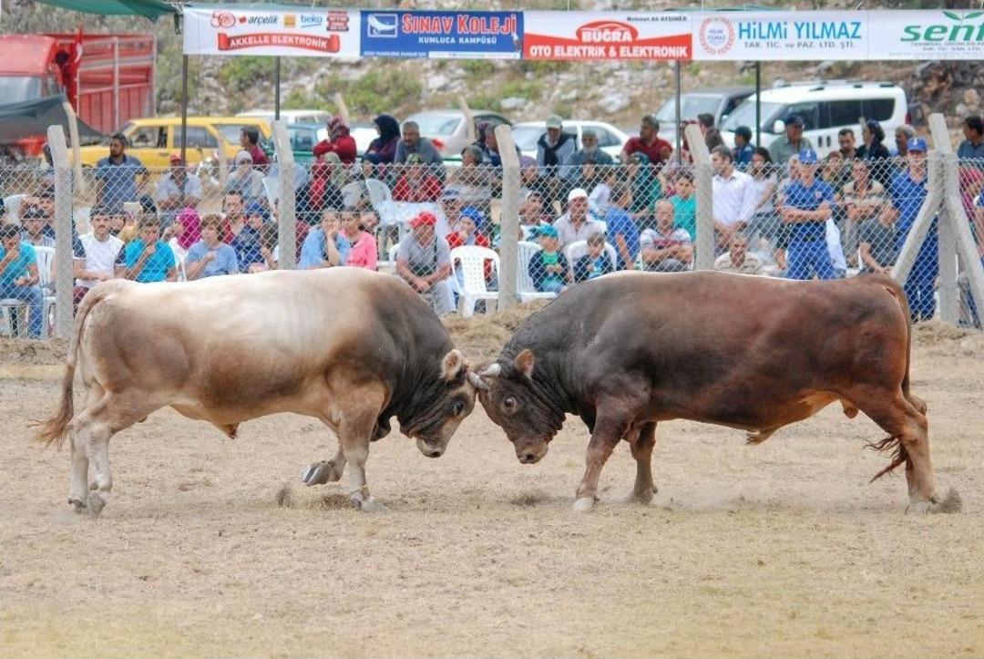 2. Karag&ouml;l Yayla Şenlikleri