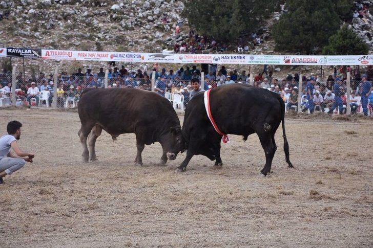 2. Karagöl Yayla Şenlikleri G1