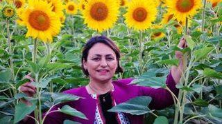 Şevkin: ayçiçeği Üretim Alanları Artmalı”