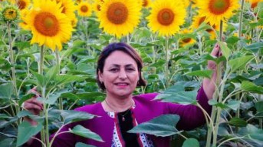 Şevkin: "ayçiçeği Üretim Alanları Artmalı”