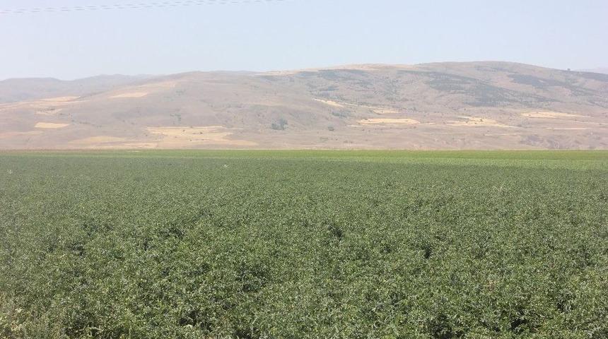 Tarım Sekt&ouml;r&uuml;ne Yatırımlar S&uuml;r&uuml;yor