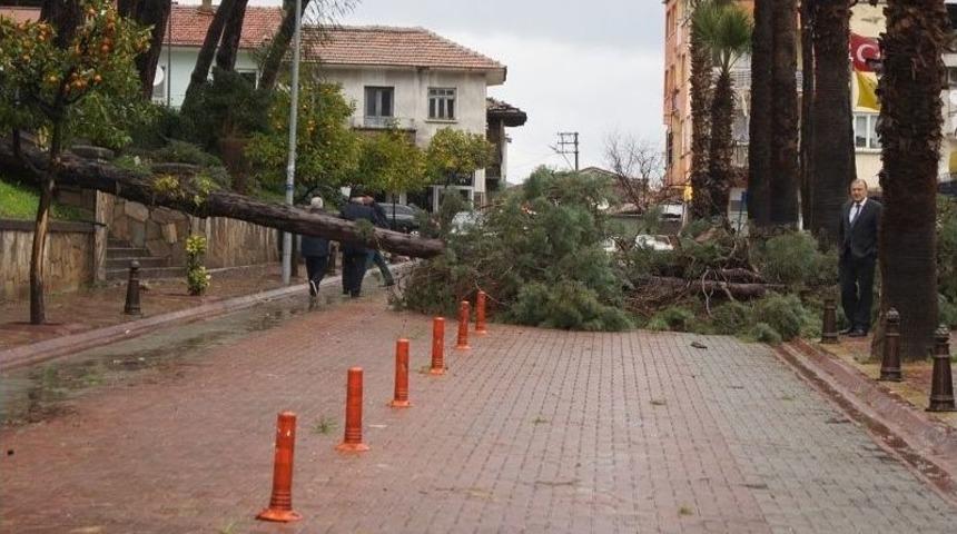 &Ouml;l&uuml;mden 10 Saniyeyle Kurtuldular