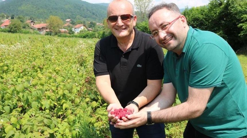 Meyvecilik B&uuml;y&uuml;kşehir&rsquo;le G&uuml;&ccedil; Kazanıyor