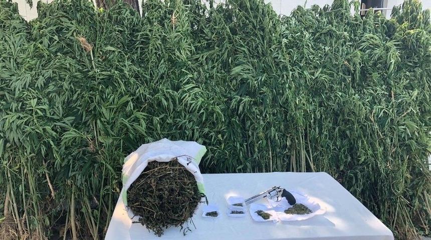 Sakarya&rsquo;da Uyuşturucu Operasyonları: 13 Tutuklama