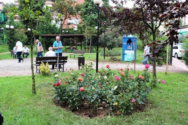 Gültepe Mahallesi Gül Bahçesine Dönüşüyor