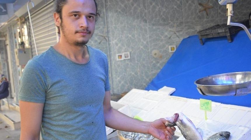 Yaz Aylarında Balığa İlgi Azaldı