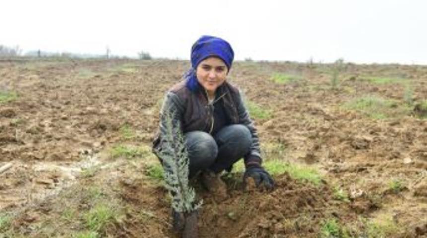 Tahtalı’ya 50 Bin Nefes