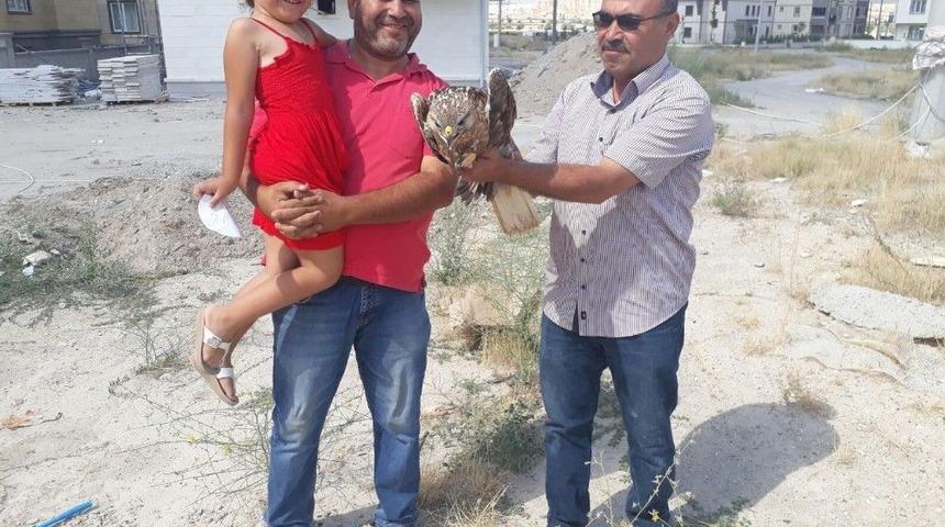 Evinin Bah&ccedil;esinde Bulduğu Yaralı Şahini Yetkililere Teslim Etti