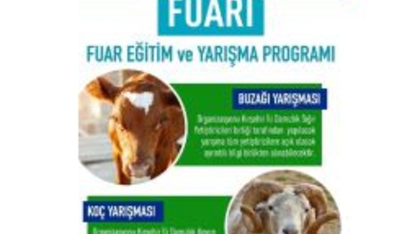 Kırşehir Tarım Ve Hayvancılık Fuarı&rsquo;na Hazırlanıyor
