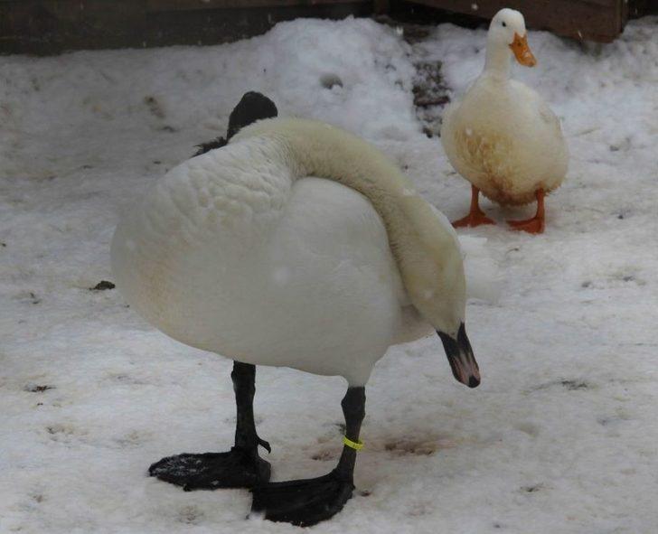 Sivas’ta Çocukların Kar Keyfi G3