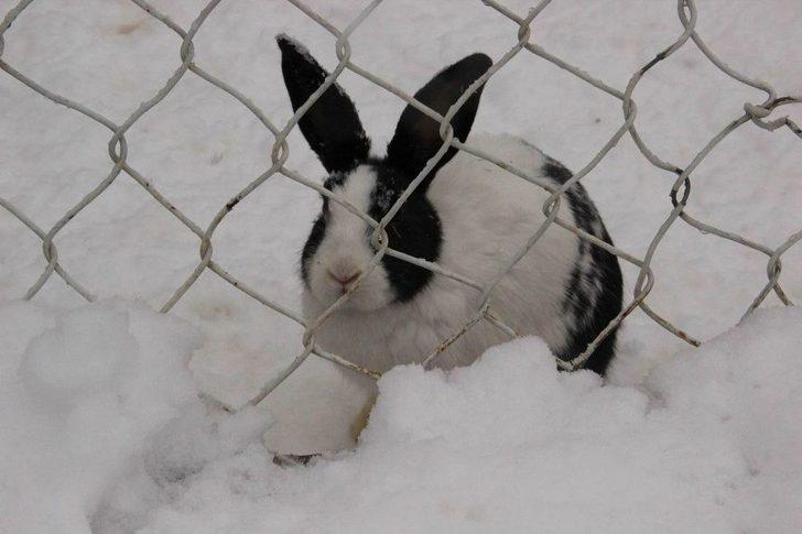 Sivas’ta Çocukların Kar Keyfi G4