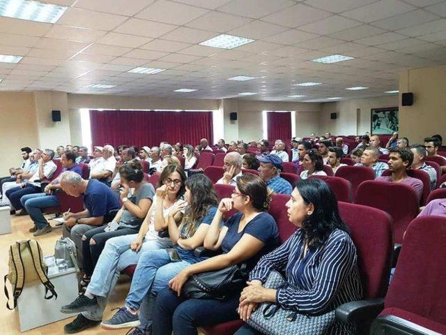 Pamuk Söke’de Masaya Yatırıldı