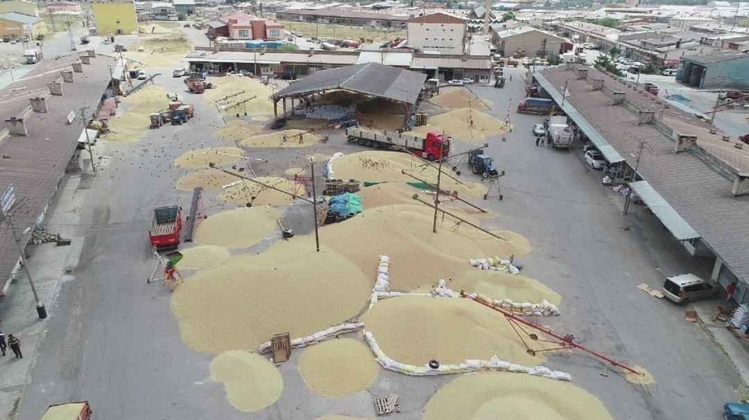 Sivas&rsquo;ta Buğday Alımları Başladı