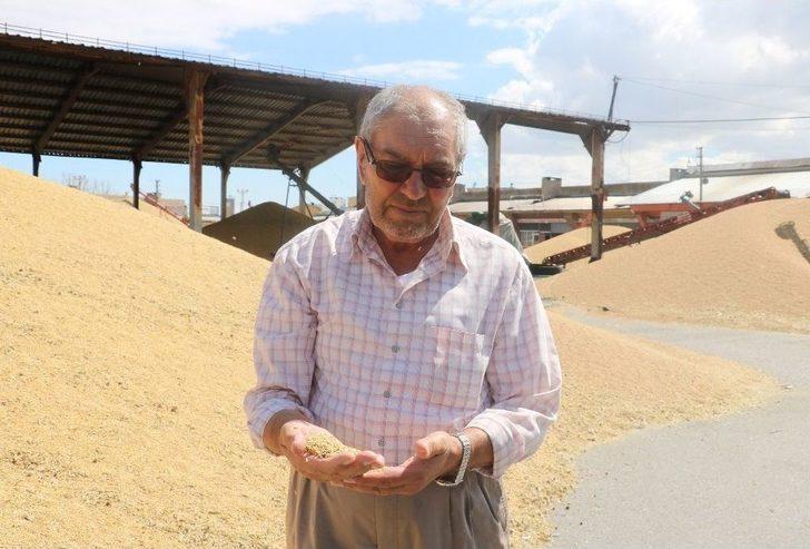 Sivas’ta Buğday Alımları Başladı G3