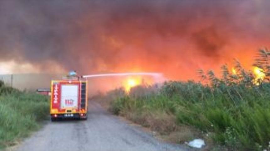 Edremit&rsquo;te Sazlık Yangını Korkuttu