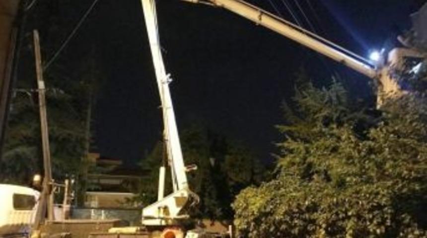 Medaş Ekibi Yavru Kediyi Kurtardı