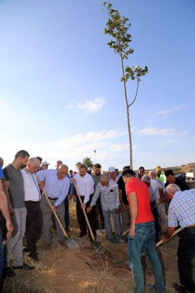 Örencik Ve Yamaçlı Mahallesi Yeşilin Merkezi Olacak