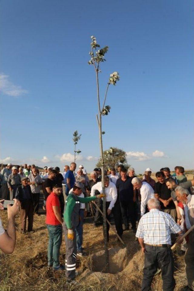 Örencik Ve Yamaçlı Mahallesi Yeşilin Merkezi Olacak