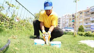 Aydın Büyükşehir Belediyesi Sokak Hayvanlarına Sahip Çıkıyor