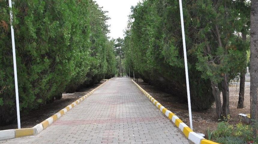 Zile&rsquo;de Mezarlıklarda Temizlik &Ccedil;alışması