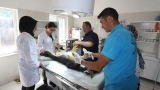 Stajyer Öğrenciler İlk Defa Ameliyat Heyecanı Yaşadı