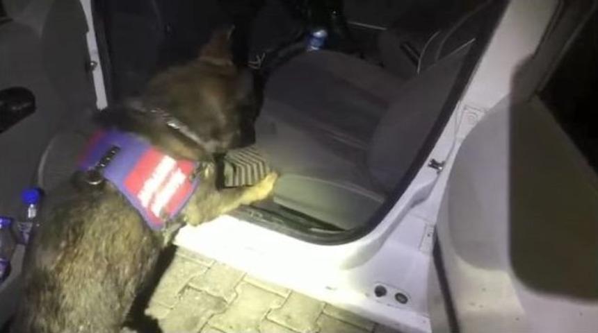 Otomobilde 398 Gram Toz Esrar Ele Geçirildi