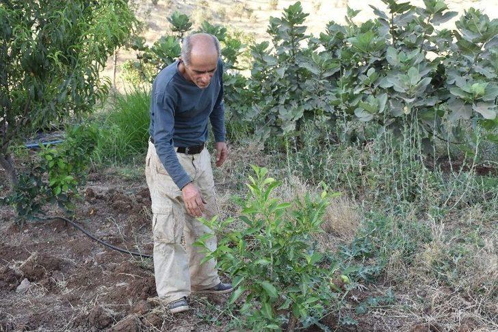 Süryani Vatandaşının Örnek Köy Mücadelesi G1