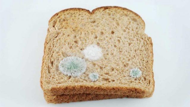 Ekmeğin, Peynirin, Meyvelerin Küflü Kısmını Kesip Gerisini Yemek Sağlıklı Mıdır?