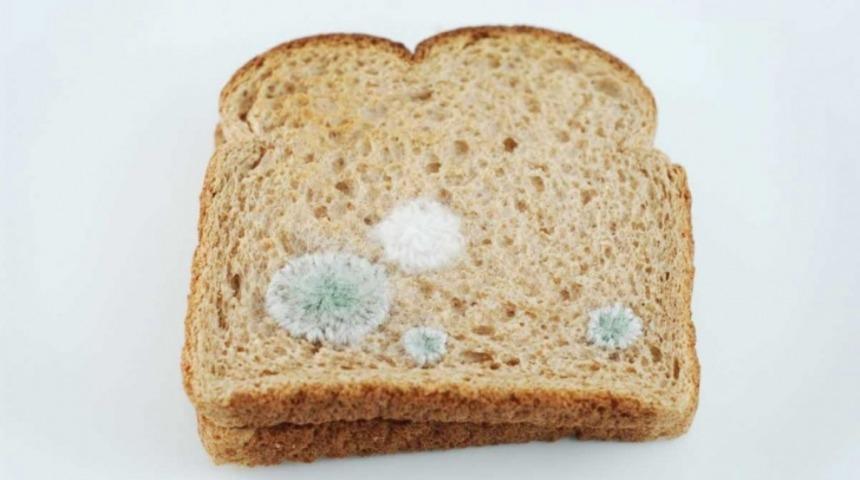 Ekmeğin, Peynirin, Meyvelerin Küflü Kısmını Kesip Gerisini Yemek Sağlıklı Mıdır?