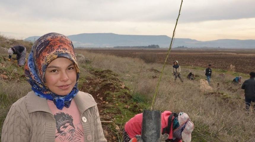 Yanan Ağa&ccedil;landırma Sahasına 18 Bin Badem Fidanı Dikildi