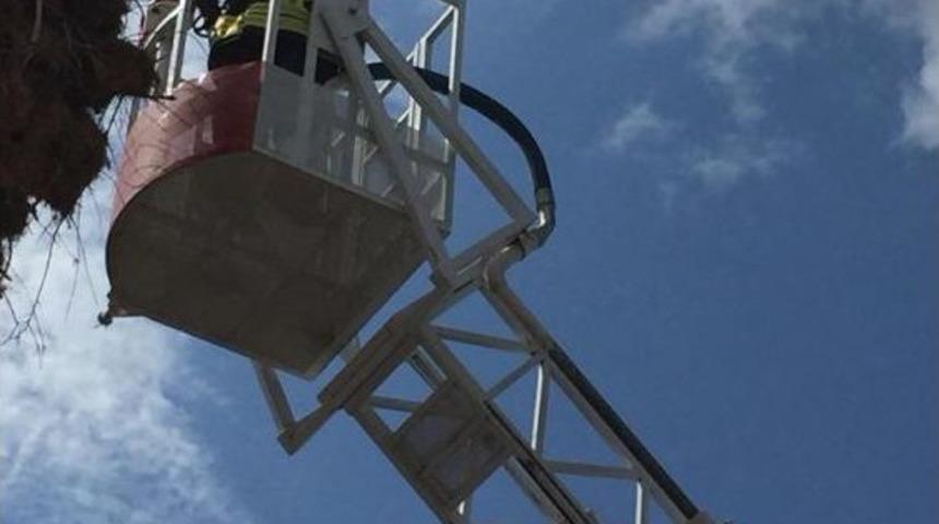 İtfaiye, Yuvasından Düşen Leylek İçin Seferber Oldu